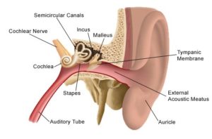 hearing problem treatment in Noida